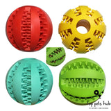 Mint Flavor Watermelon Tooth Ball Dog Toy
