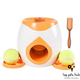 Smart Pet Feeder with Tennis Ball Throwing Device