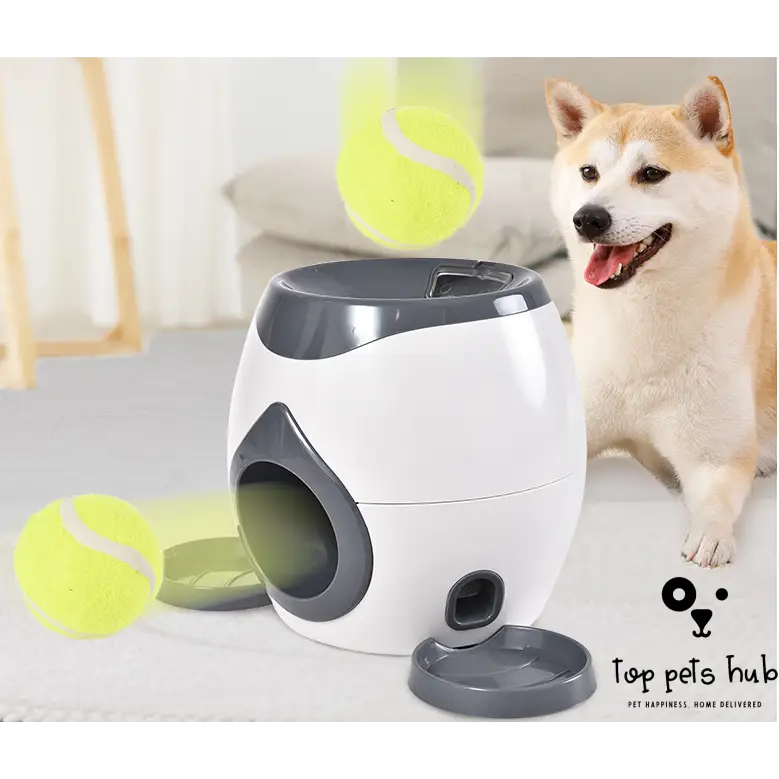 Smart Pet Feeder with Tennis Ball Throwing Device