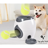 Smart Pet Feeder with Tennis Ball Throwing Device