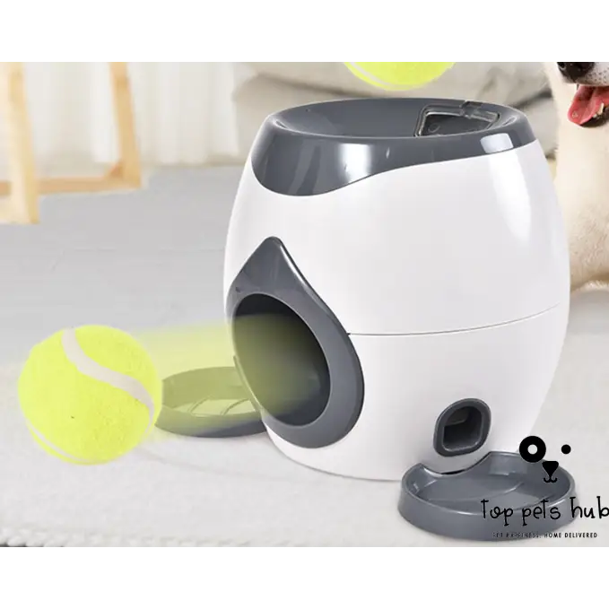 Smart Pet Feeder with Tennis Ball Throwing Device