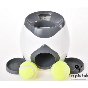 Smart Pet Feeder with Tennis Ball Throwing Device