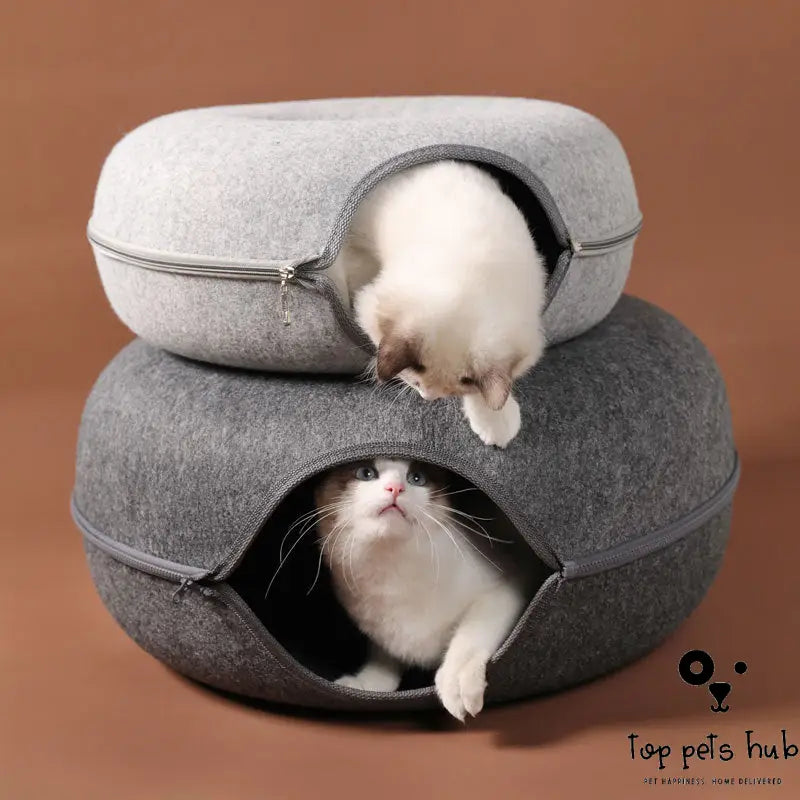 Four Seasons Cat Nest with Interactive Tunnel