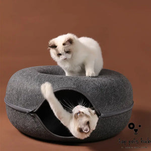 Four Seasons Cat Nest with Interactive Tunnel