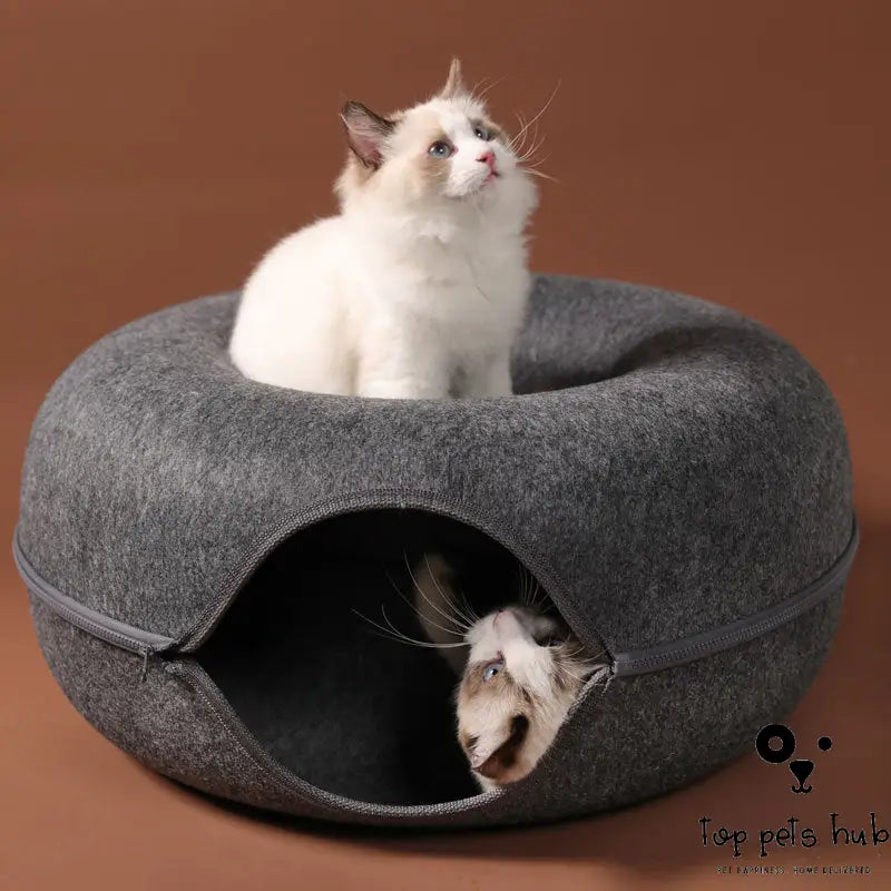 Four Seasons Cat Nest with Interactive Tunnel