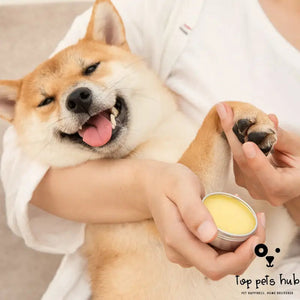 Nose and Paw Moisturizing Cream