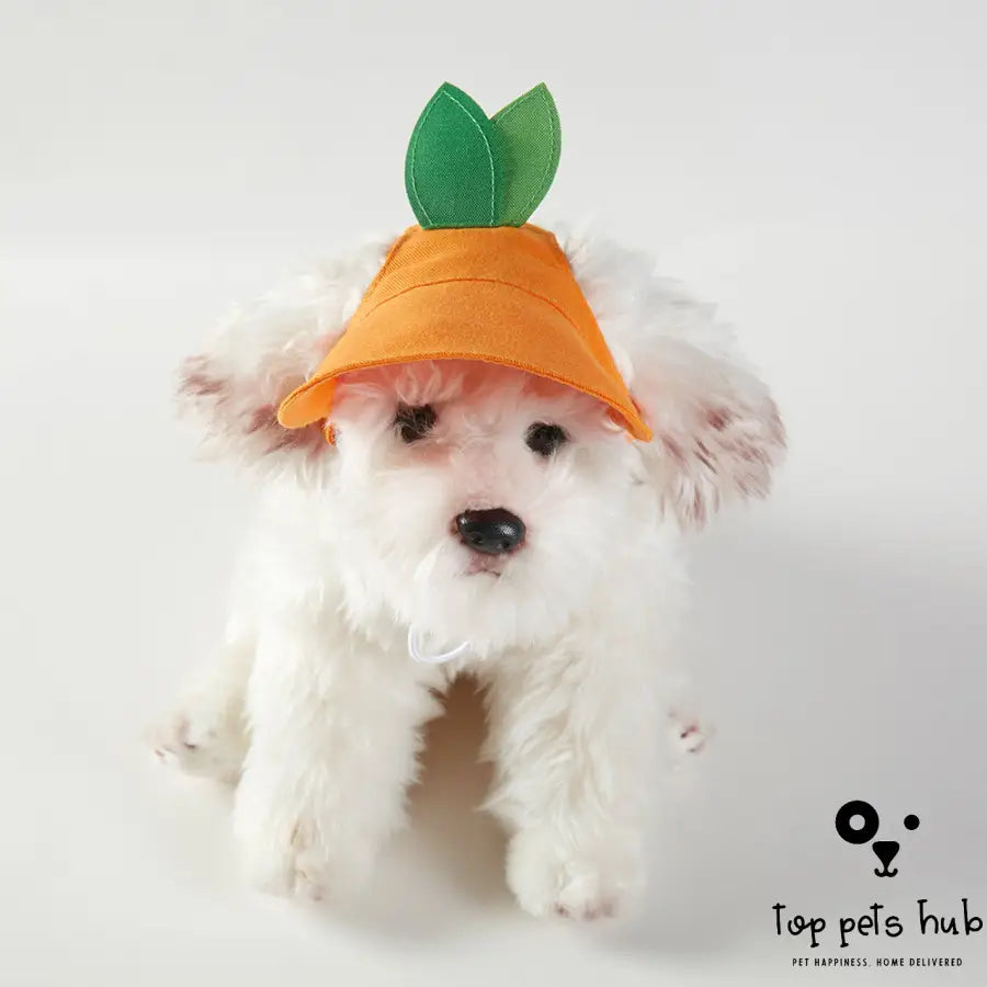 Stylish Sunshade Cat Hat with Orange Strap