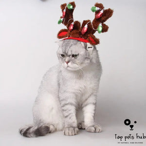 Christmas Hat and Ornaments for Dogs Cats
