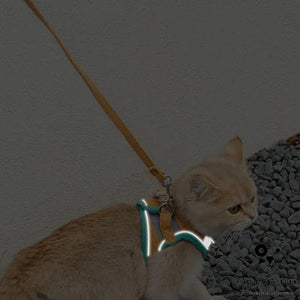 Outdoor Cat Pulling Rope Reflective Vest