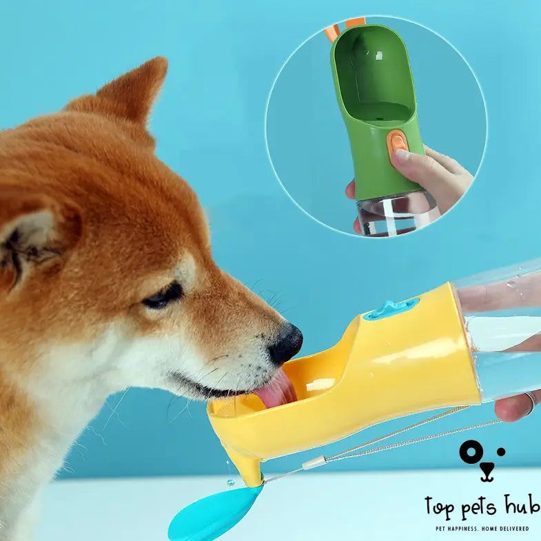 On-the-Go Pet Water Bottle