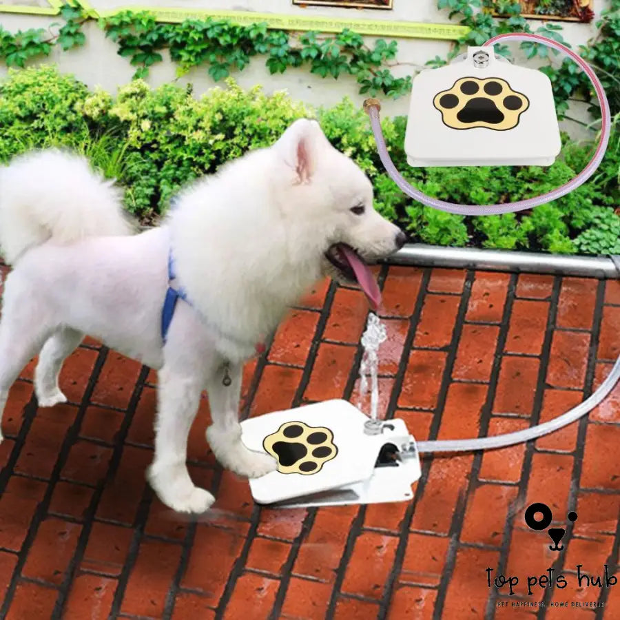 Outdoor Pet Water Fountain