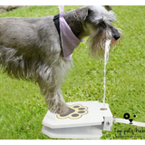 Outdoor Pet Water Fountain