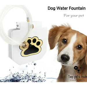 Outdoor Pet Water Fountain