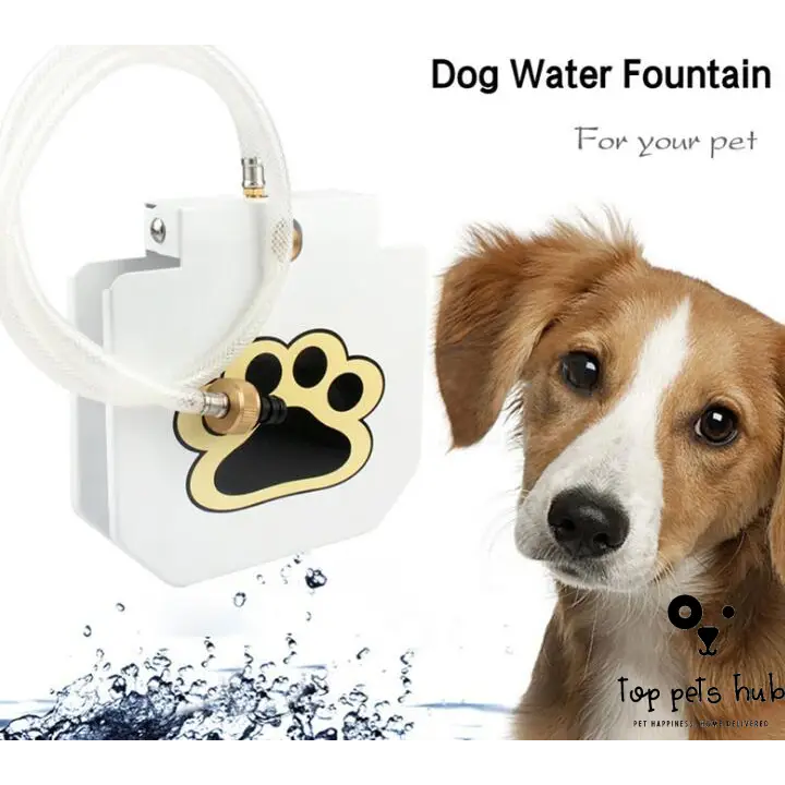 Outdoor Pet Water Fountain