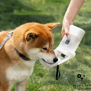 On-the-Go Dog Outgoing Cup