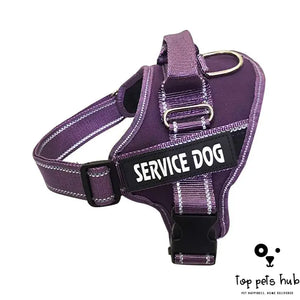 Personalized Pet Chest Strap