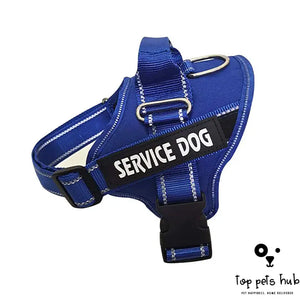 Personalized Pet Chest Strap