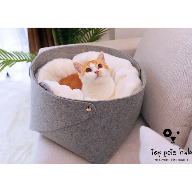 Pet Bed