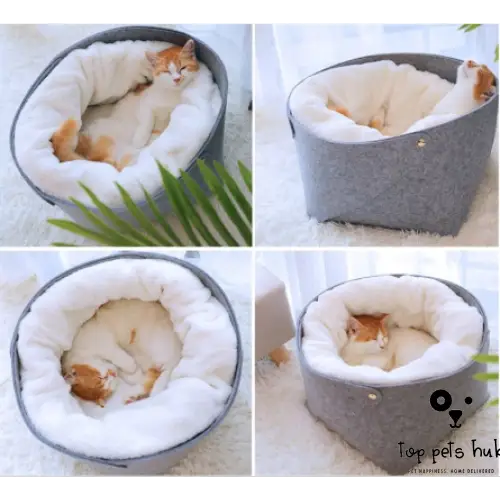 Pet Bed