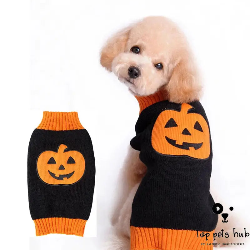 Pet Halloween Dog Knitted Pumpkin Sweater