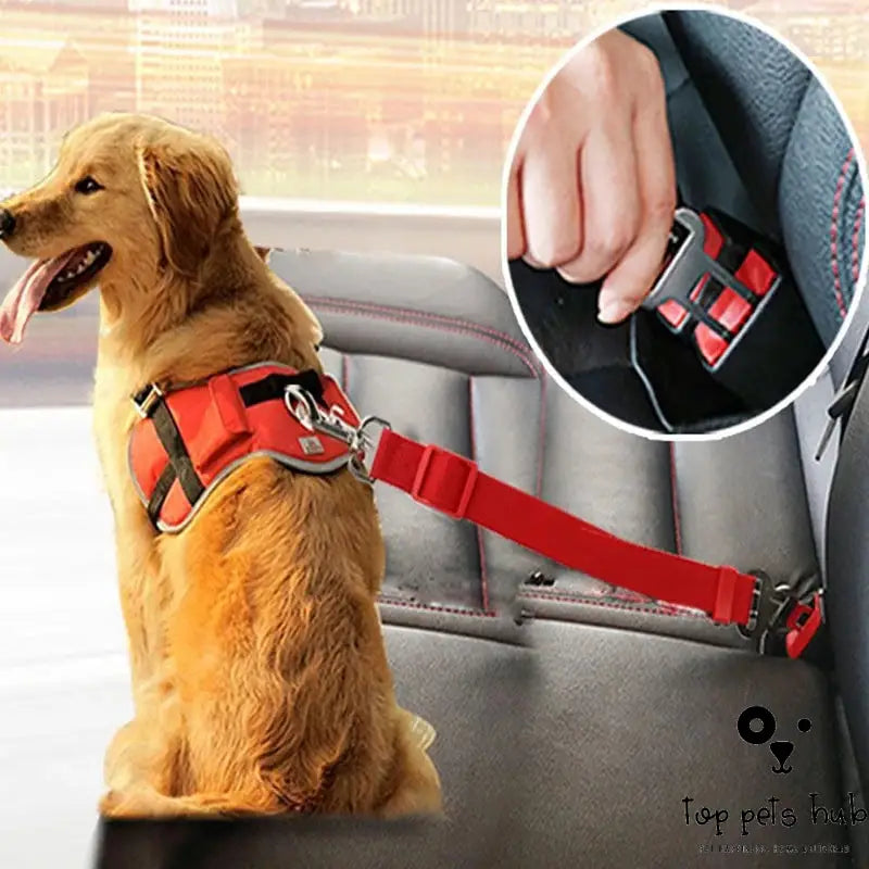 Car Retractable Pet Seat Belt