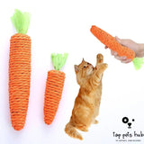 Sound Carrot Cat Scratch Board