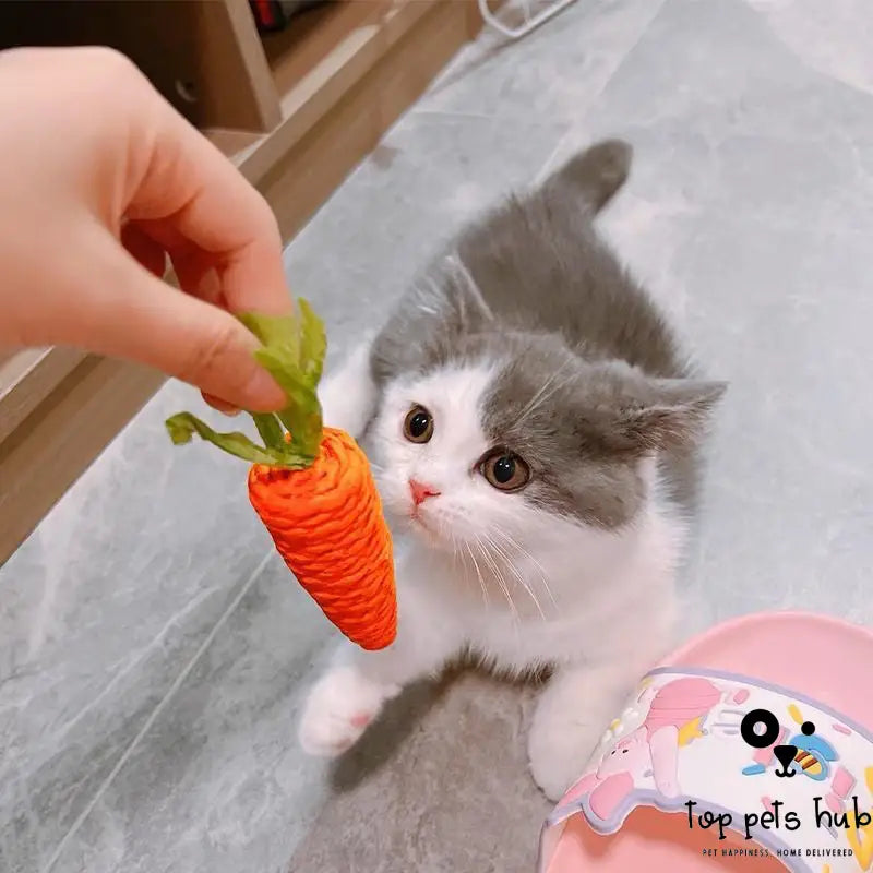 Sound Carrot Cat Scratch Board