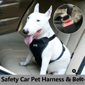 Pet Car Seat Belt