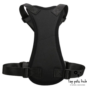 SafeRide Pet Car Seat Belt