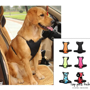 SafeRide Pet Car Seat Belt