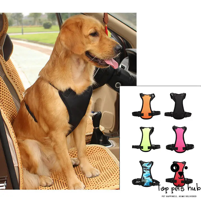 SafeRide Pet Car Seat Belt