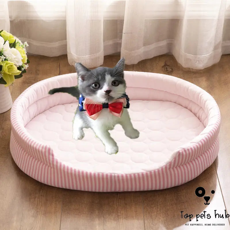 Ice Silk Summer Pet Bed