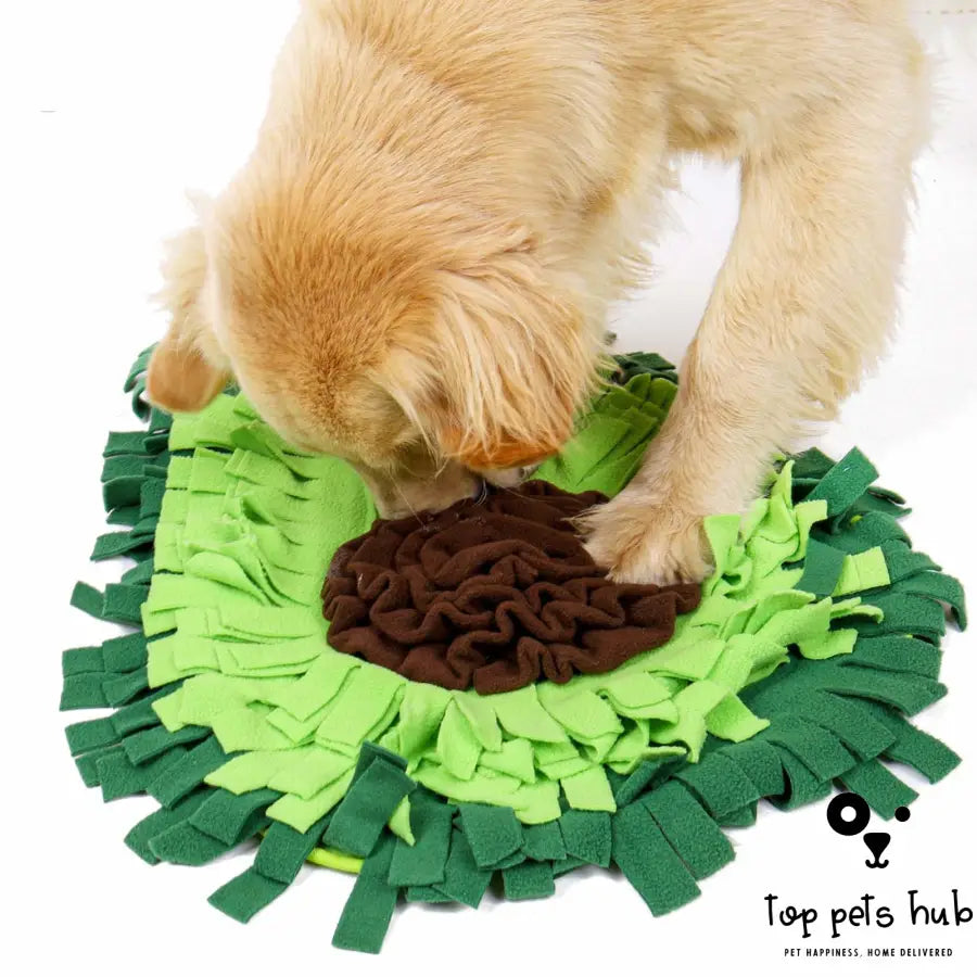 Sniffing Mat Puzzle Toy