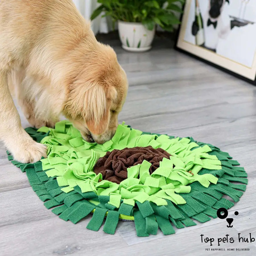 Sniffing Mat Puzzle Toy