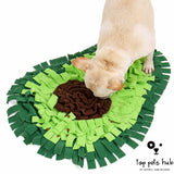 Sniffing Mat Puzzle Toy
