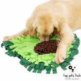 Sniffing Mat Puzzle Toy