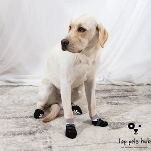 Halloween Dog Foot Cover Socks
