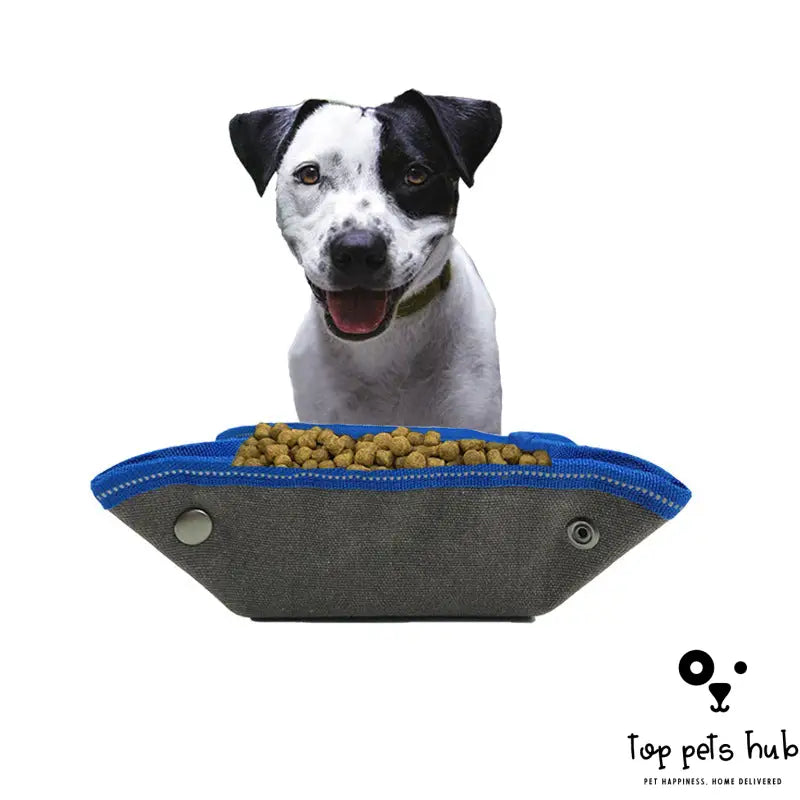 Folding Dog Bowl and Food Bag