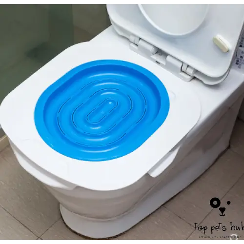 Cat Toilet Training Kit