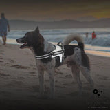 Traction Rope Vest for Dogs