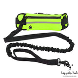 Hands-Free Dog Leash and Training Belt