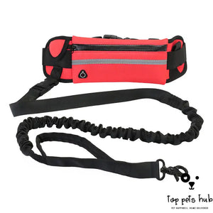 Hands-Free Dog Leash and Training Belt