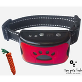 Waterproof Dog Training Collar