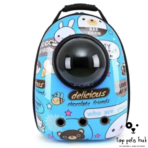 Portable Pet Space Bag