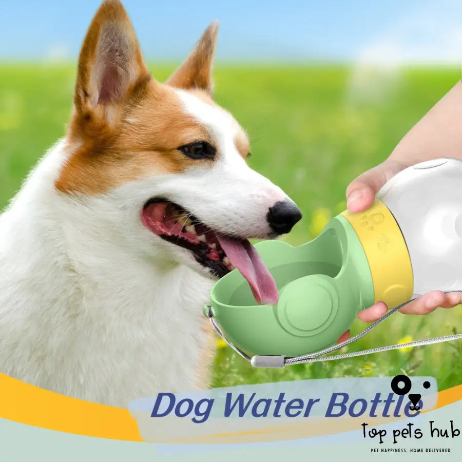 Portable Dog Water Bottle and Feeder