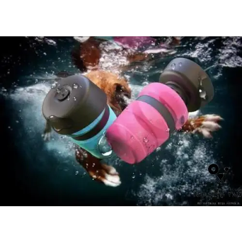 Foldable Dog Travel Water Bottle