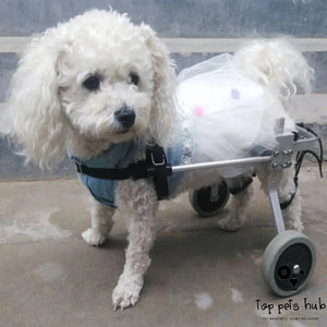 Adjustable Dog Wheelchair