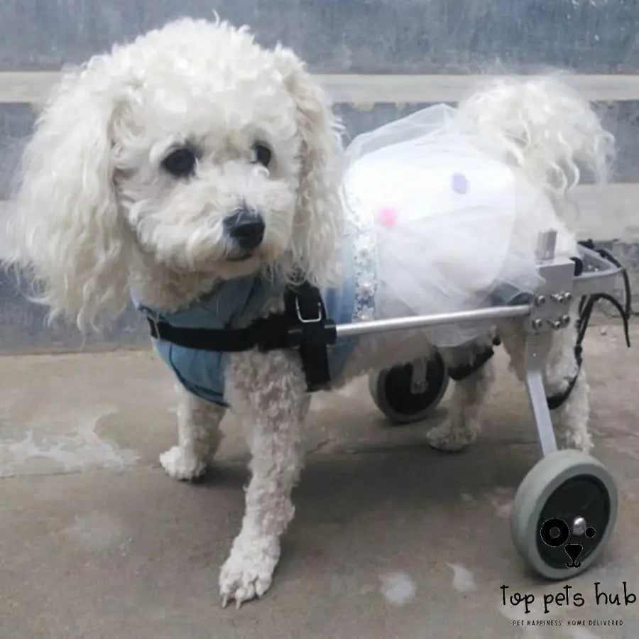 Adjustable Dog Wheelchair