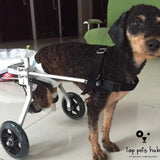 Adjustable Dog Wheelchair