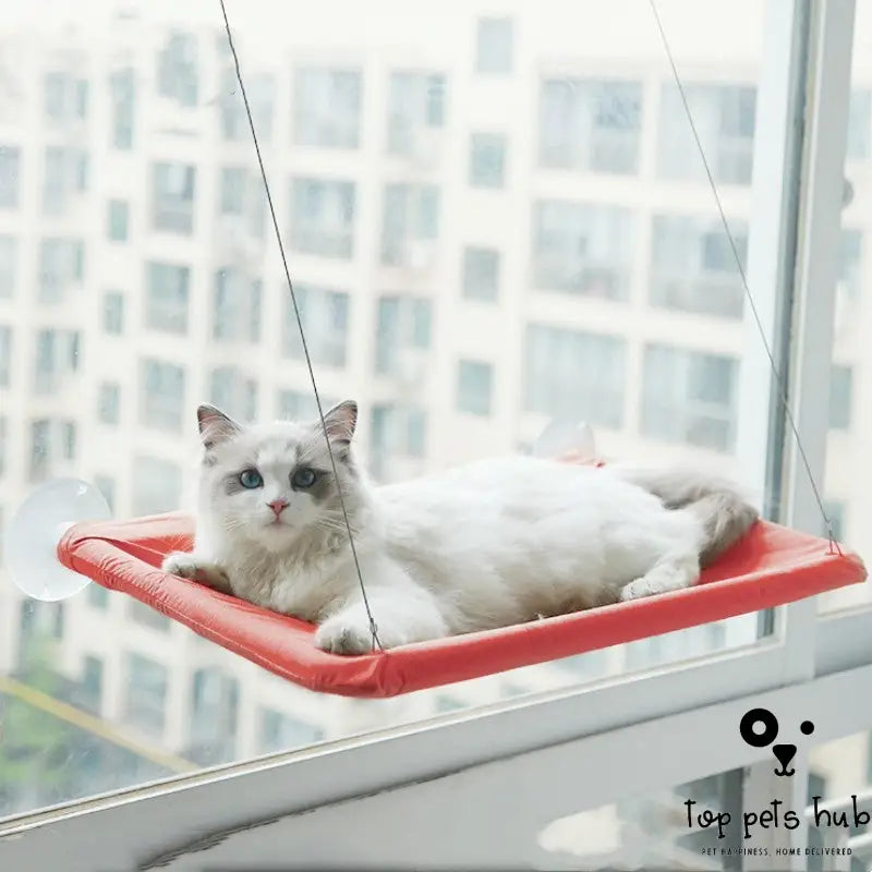 HangPurr Cat Window Hammock with Litter Sucker